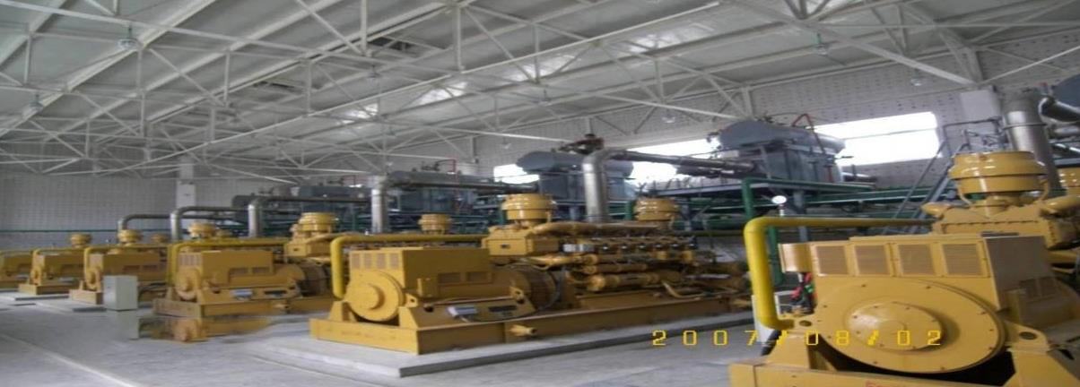 700kW Biogas Generator Set