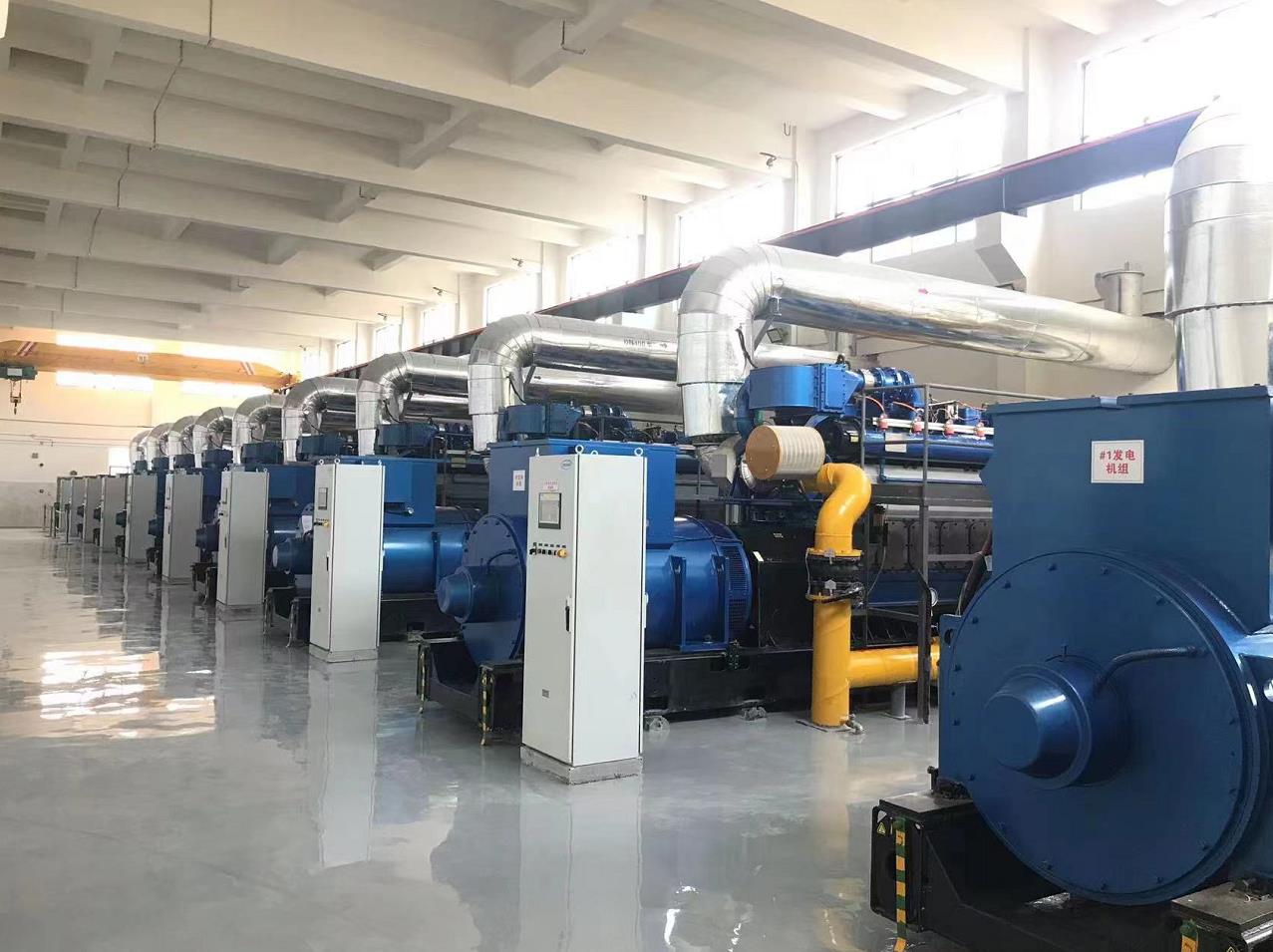 24*500 KW Biogas Generator Sets